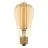 Ledvance Vintage 1906 LED E27 Edison Gold 5.8W 470lm - 822  | Dimmbar - Ersatz Für 40W