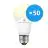 Lot 50x WiZ Smart LED E27 Poire Dépolie 9W 806lm - 827 Blanc Très Chaud | Dimmable - Remplacement 60W